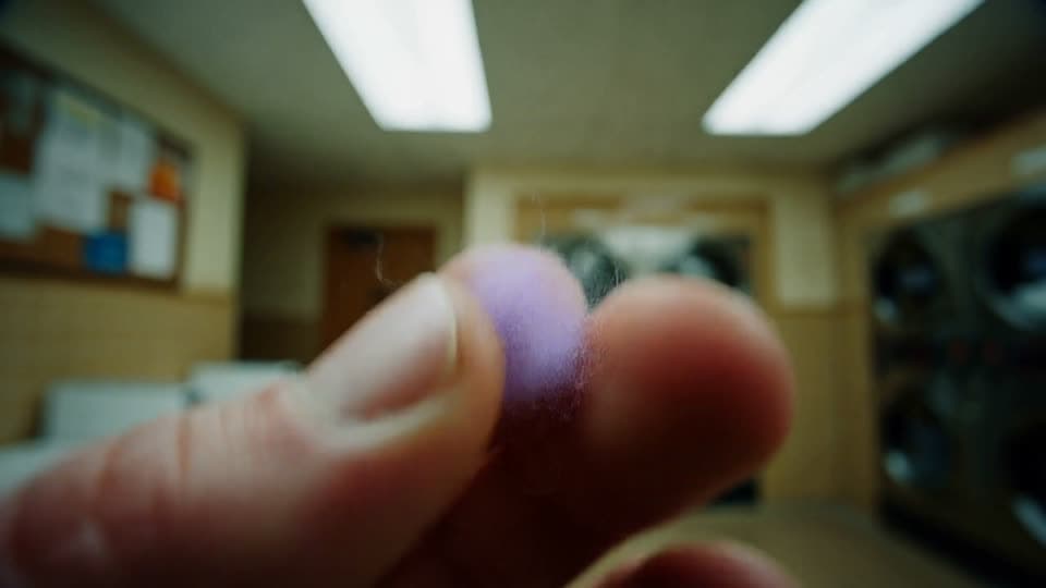 Small purple creature held between fingers in a laundromat