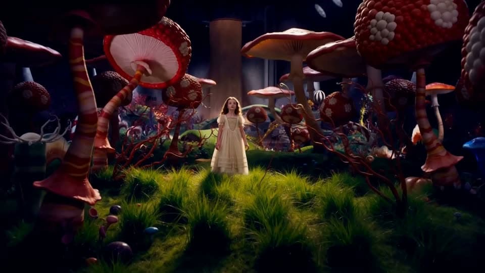 Colorful fairytale forest with oversized mushrooms